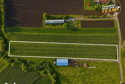 Teren de 5800 mp, în Ilieni - 5