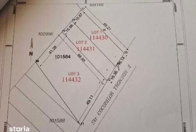 Teren de 10000 mp, în Viile Satu Mare - 3