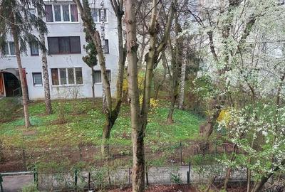 Apartament cu 2 camere semidecomandat în Mănăștur - 2