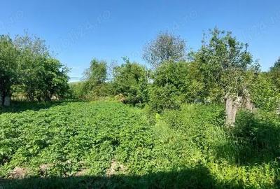 Casă cu 6 camere în Valea - 6