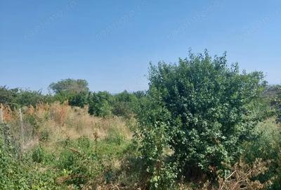 Teren pentru casa in Osebiti, Luizi Calugara - 2