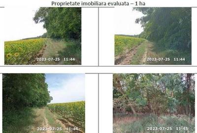 Teren extravilan padure, cota parte de 1/48 Horgesti, ID: R2325836 - 1
