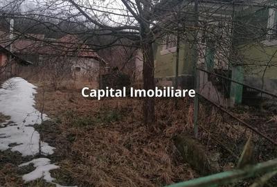 Casă cu 3 camere cu Teren 3040 Mp în Ceanu Mic - 8
