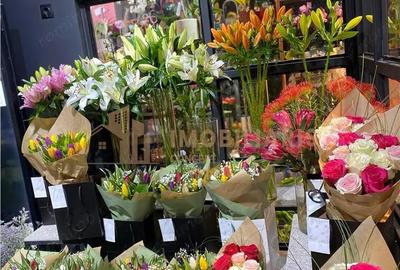 Afacere la cheie - Florarie cu traditie, pozitionata central - 10