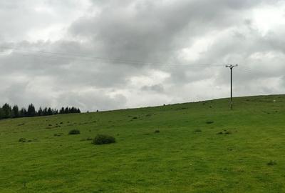 Spațiu comercial, în Paltin - 5