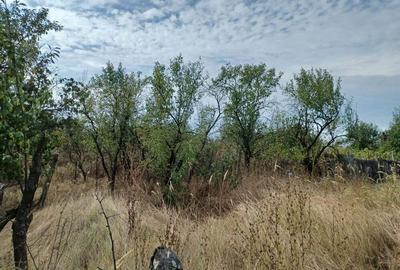 Casă cu 2 camere cu Teren 3100 Mp în Diculești - 9