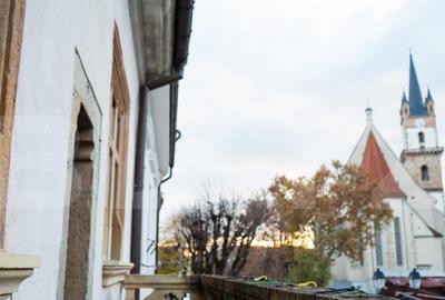 Casa Ion Zidaru, monument istoric, 597 mp utili, zona Centra - 1