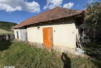 Casă cu 3 camere cu Teren 4100 Mp în Horoatu Crasnei - 1