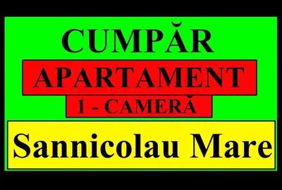 Garsonieră decomandată în Sânnicolau Mare - 1