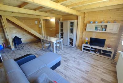 Casă individuală cu 3 camere cu Canalizare în Ciclova Română - 32