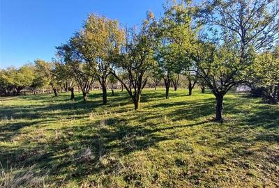Teren agricol extravilan de 2006 mp, în Gura Râului