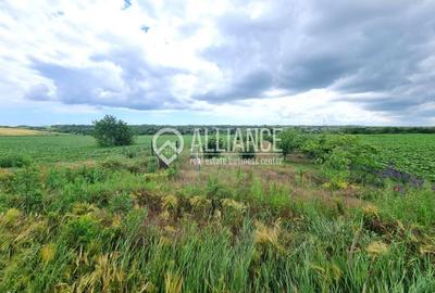 Teren agricol extravilan de 4000 mp, în Central - 3