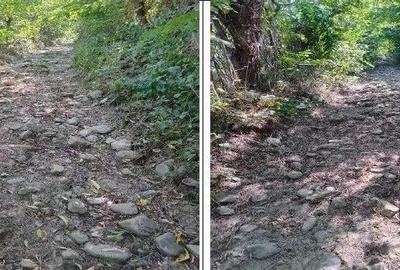 Teren Buciumeni, ID: R2431873 - 2