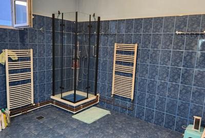 Casa cu teren in zona Traian, 2 fronturi stradale - 13