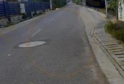 Teren Prunilor, Smeura!