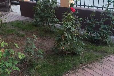 Casă cu 4 camere în Preajba - 5