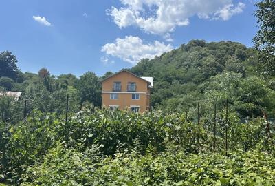VAND O VILA IN PADUREA DIN FILIPESTI - 16