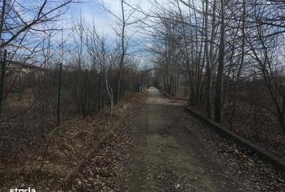 Teren de 1100 mp, în Băneasa - 4