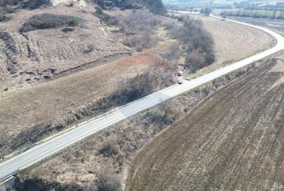 Teren de 2000 mp, în Moșna - 12