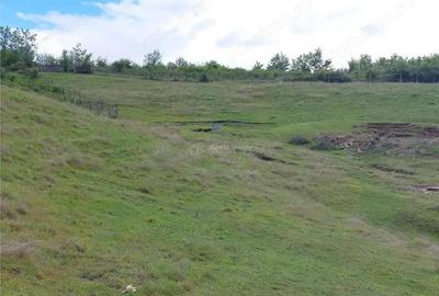 Teren extravilan 10000 mp, com Panatau - 9