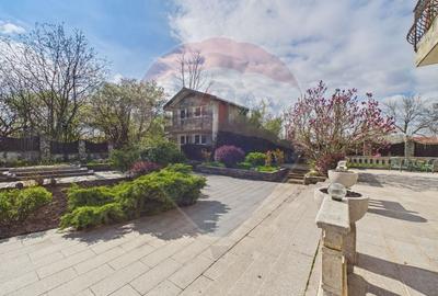 Proprietate specială, de 608 mp, în Mogoșoaia - 32