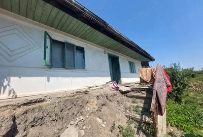 Teren pentru casa in Osebiti, Luizi Calugara - 3