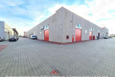 Hale noi in Baicoi, Ph--13.000mp--3e - 2