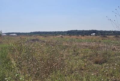 RATE LA DEZVOLTATOR  /toate utilitatile/ acces rapid DN1 și A0 - 3