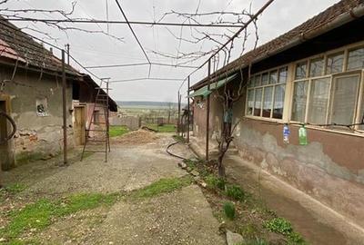 RECO Casa in  Rosiori Vaida 3cam 18km de Oradea - 5