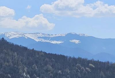Spațiu comercial, în Central - 2
