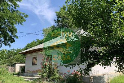 Casa de vanzare, zona Ion Creanga - 10