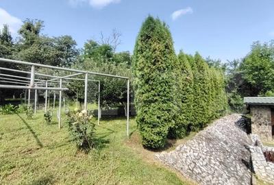 Casă cu 5 camere cu Teren 1090 Mp în Târnăveni - 16