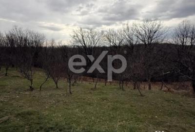 Teren în Drăganu - 3