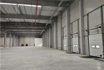 Spatii Industriale - 5000 mp - Logistica - Productie - Depozitare - 8