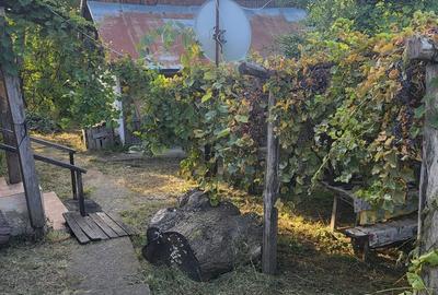 Casă cu 7 camere cu Teren 279 Mp în Central - 3