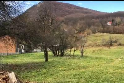 +447449296925 Teren intravilan pe strada principală - 2