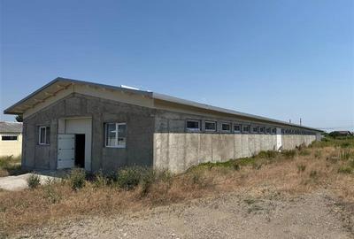 Hale industriale, fabrica de mobila la cheie de vanzare, zona Horlesti - 4