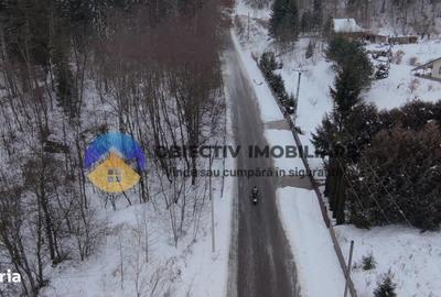 Teren de 2283 mp, în Tarcău - 9