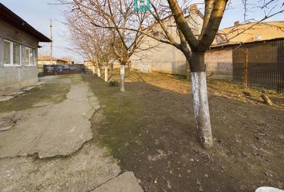 Casa modesta, 2500 mp teren, Domnesti - 1