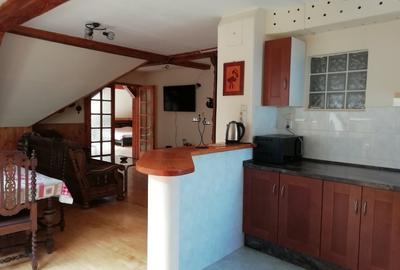 Apartament cu 3 camere semidecomandat în Ultracentral - 18