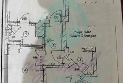 Liniște și intimitate în inima cartierului Kiseleff - 4