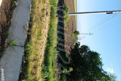 Teren de 10200 mp, în Sârbeni - 4