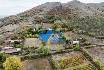 Teren intravilan NICULITEL, zona deosebita, 3044MP - 9