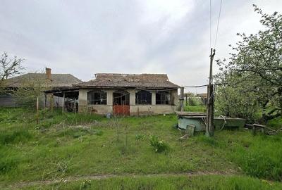 Casă cu 3 camere cu Teren 1230 Mp în Obârșia de Câmp - 6
