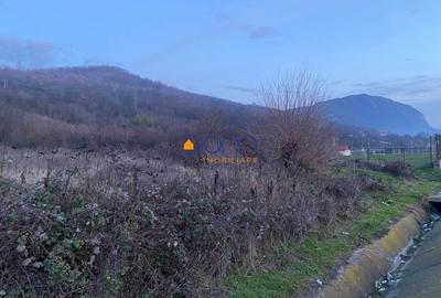 Teren intravilan 4836 mp Mehadia cu Fs la E70 - 7