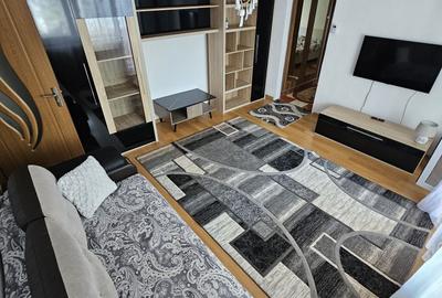 Apartament cu 2 camere semidecomandat în Micălaca - 2