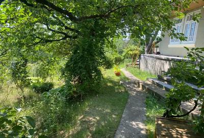 Casa 75 mp si teren 1000 mp Sarata Bacau vandut - 2