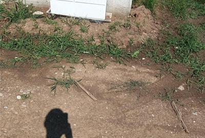 Teren de 375 mp, în Berceni - 1