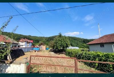 Casă cu 2 camere cu Teren 3623 Mp în Țicleni - 5