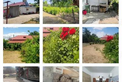 Casa de vanzare la Valea Nucarilor din Tulcea la doar 52.000 euro - 7